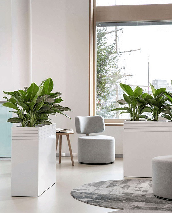 Modern, skandináv stílusú nappaliban álló fehér színű design ültetőládák.