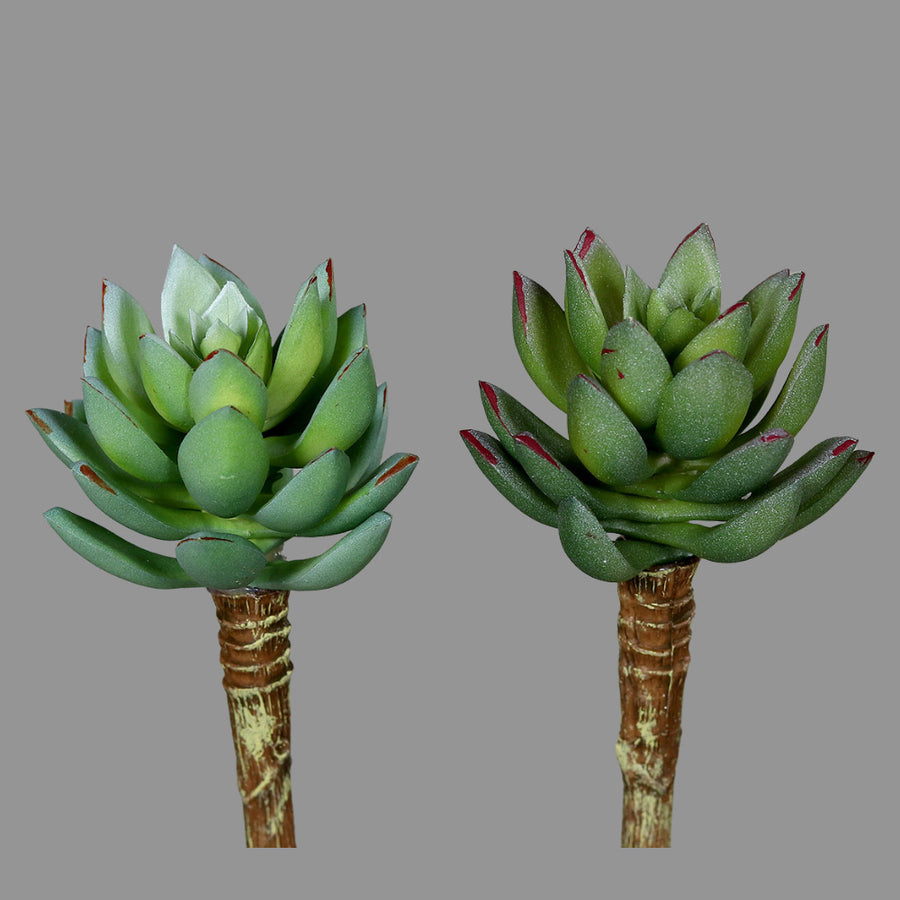 Élethű, betűzős kövirózsa műnövény, kétféle változatban.