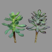 Élethű, 16 cm magas, betűzős kövirózsa műnövény, kétféle változatban.