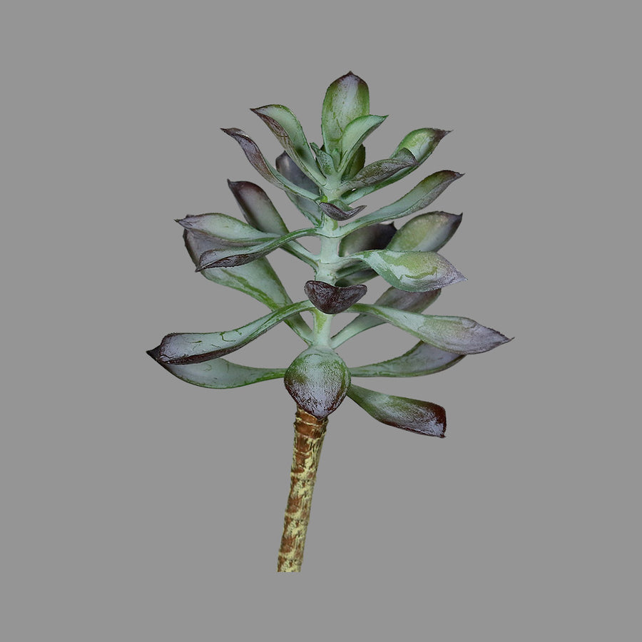 Élethű, 16 cm magas, betűzős kövirózsa műnövény, kétféle változatban.