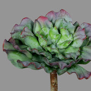 Élethű pirosas-zöld színű, fodros levélzettel kialakított, betűzős kövirózsa műnövény.