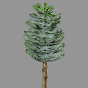 Élethű  betűzős varjúháj műnövény, kétféle változatban.