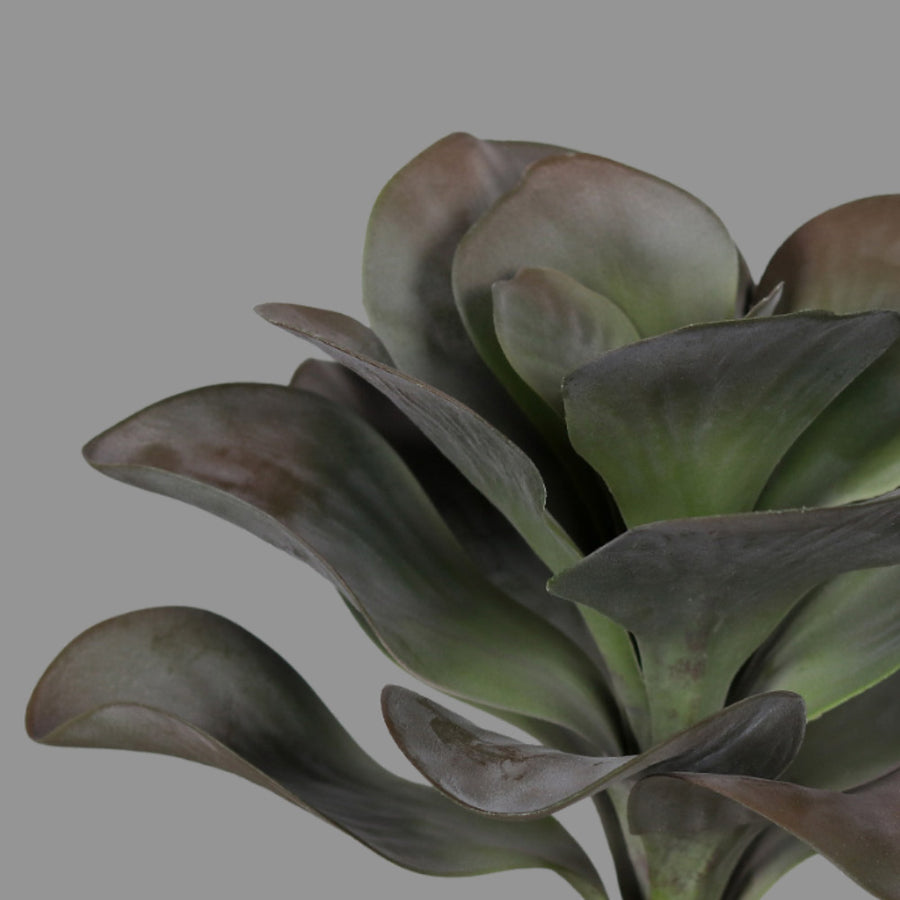 Élethű, zöldes-lilás színű, betűzős kalanchoe műnövény.