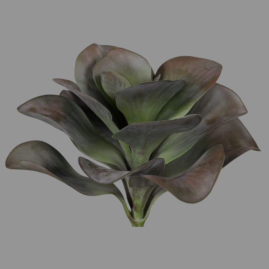 Élethű, zöldes-lilás színű, betűzős kalanchoe műnövény.