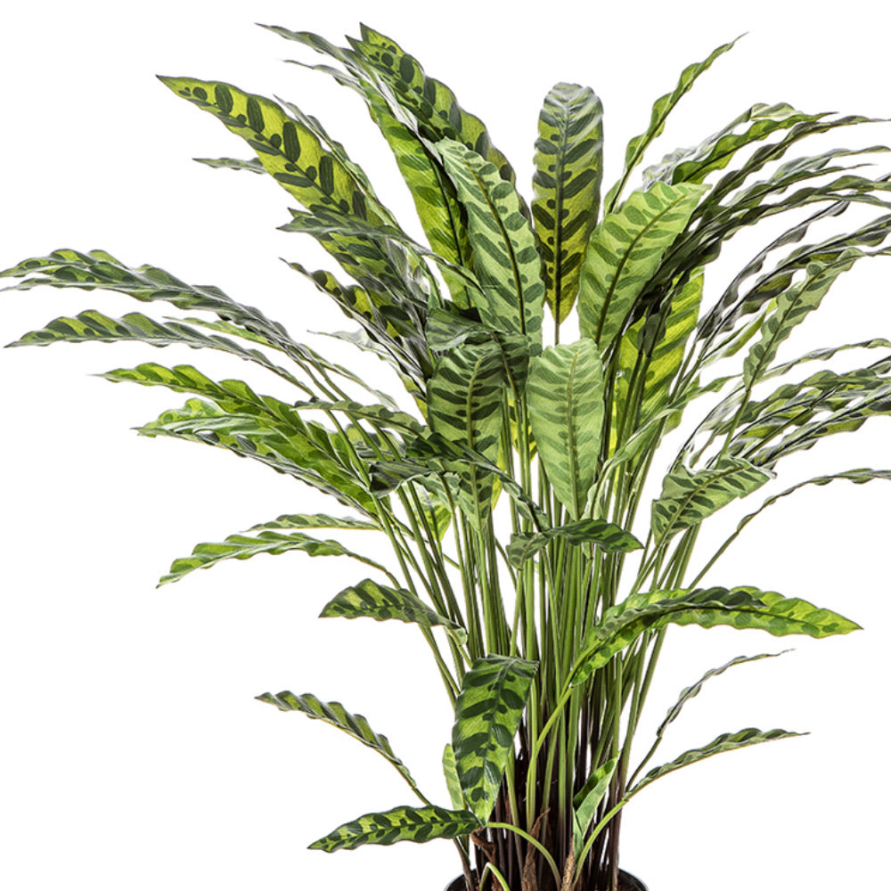 Élethű megjelenésű, mű zebralevél növény, fekete műanyag cserépben