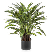 Élethű megjelenésű, mű zebralevél növény, fekete műanyag cserépben