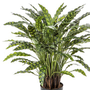 Élethű megjelenésű, mű zebralevél növény, fekete műanyag cserépben