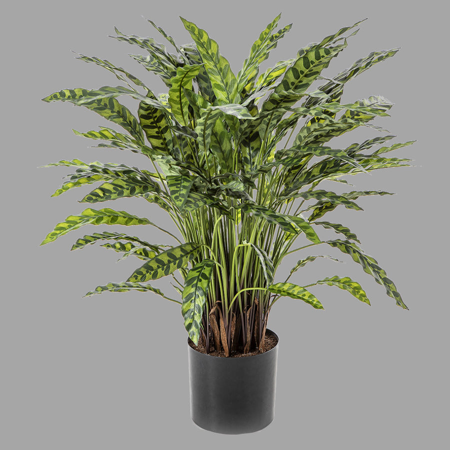 Élethű megjelenésű, mű zebralevél növény, fekete műanyag cserépben