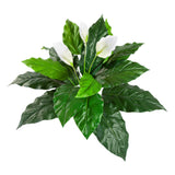 vitorlavirág műnövény 71 cm fehér virágokkal és zöld levelekkel