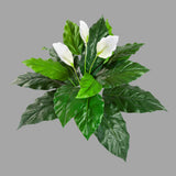 vitorlavirág műnövény betűzős kivitelben