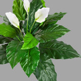 élethű vitorlavirág műnövény dús levélzettel közelről