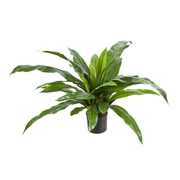 Élethű, 80 cm magas, mű madárfészek páfrány fekete műanyag cserépben