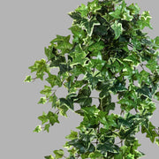 Élethű megjelenésű, 70 cm hosszú, zöld színű borostyán csüngő műnövény 