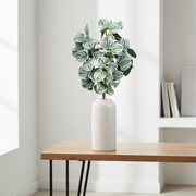 Hamvaszöld Peperomia betűzhető törpebors műnövény fehér vázában