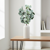 Hamvaszöld Peperomia betűzhető törpebors műnövény fehér vázában