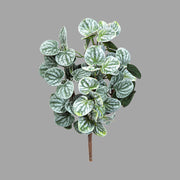 Dús levelű Peperomia műnövény betűzhető kivitelben semleges szürke háttér előtt