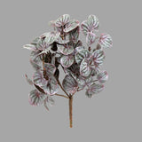 Peperomia kollekció bíbor tónusú levelű törpebors műnövény élethű lombozattal