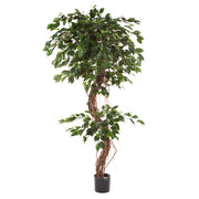 Élethű megjelenésű, mesterséges fikusz cserje fekete színű, műanyag kaspóban