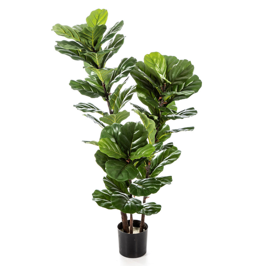 Élethű megjelenésű, mesterséges fikusz cserje, fekete színű, műanyag kaspóban.