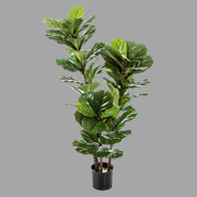 Élethű megjelenésű, mesterséges fikusz cserje, fekete színű, műanyag kaspóban.