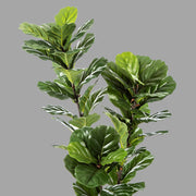 Élethű megjelenésű, mesterséges fikusz cserje, fekete színű, műanyag kaspóban.