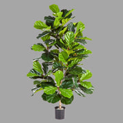 Élethű megjelenésű, mesterséges fikusz cserje fekete színű, műanyag kaspóban.