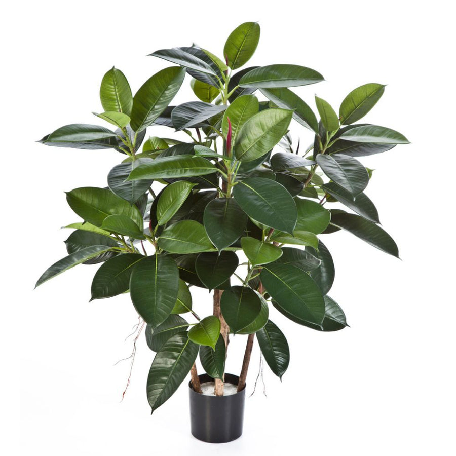 Élethű megjelenésű, merséges fikusz cserje, fekete színű, műanyag kaspóban