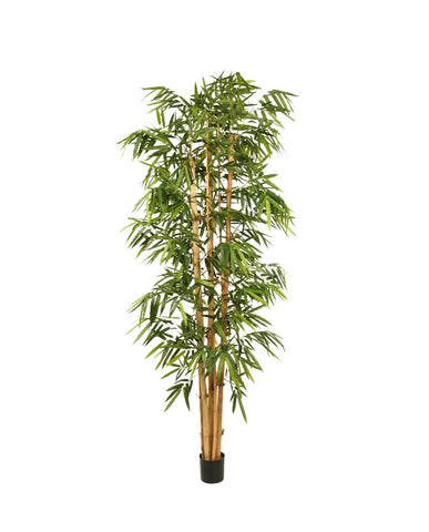 Élethű megjelenésű, 240 cm magas, nagy méretű, mű bambusz cserje