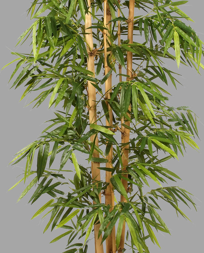 Élethű megjelenésű, 240 cm magas, nagy méretű, mű bambusz cserje