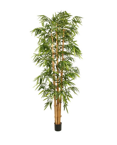 Élethű megjelenésű, 270 cm magas, nagy méretű, mű bambusz cserje