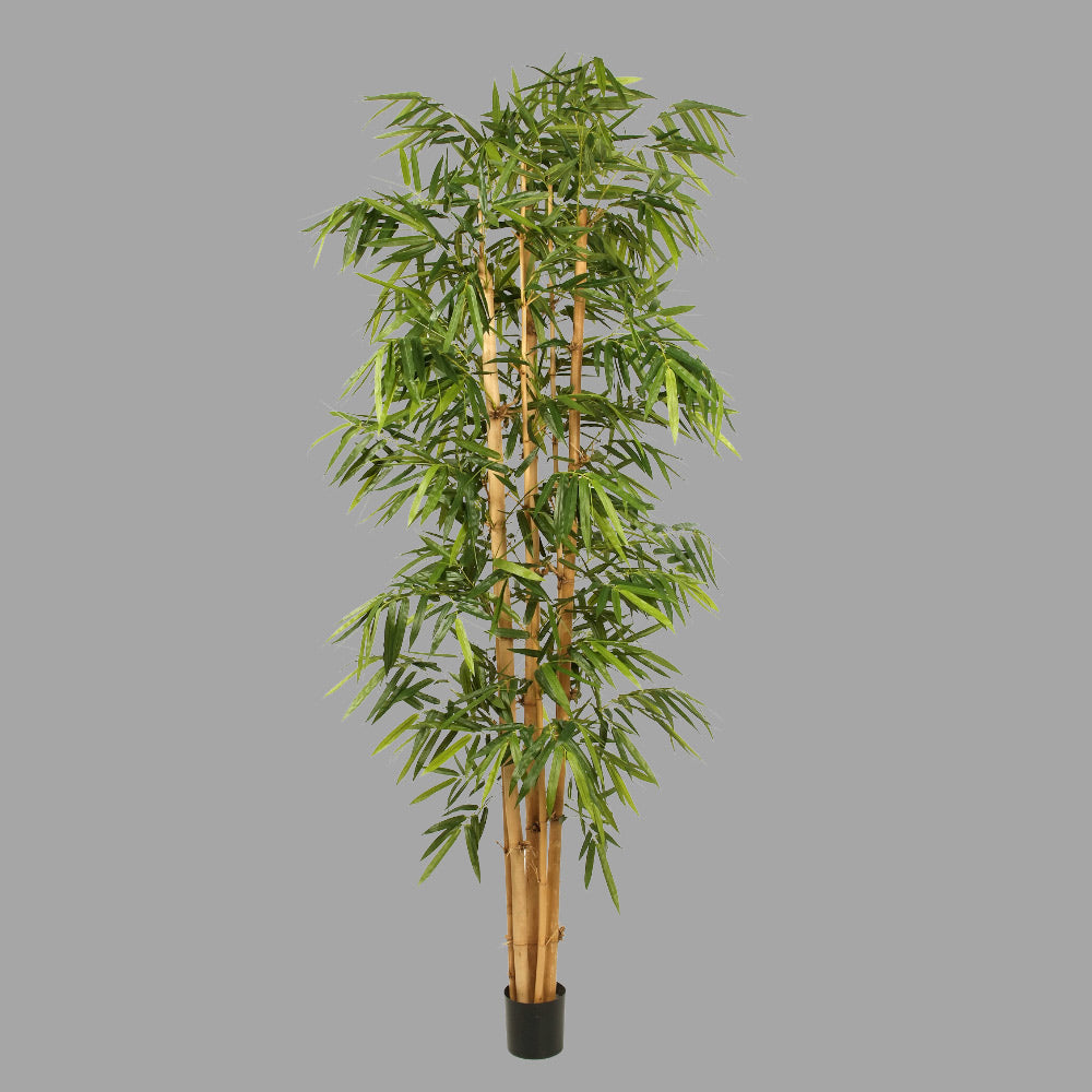 Élethű megjelenésű, 270 cm magas, nagy méretű, mű bambusz cserje