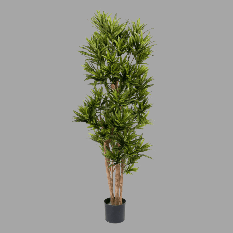 Élethű megjelenésű, tűzálló mű sárkányfa, fekete színű műanyag cserépben.