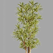 Élethű megjelenésű, tűzálló mű sárkányfa, fekete színű műanyag cserépben