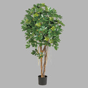 Élethű megjelenésű, dús lombozatú, mű sugárarália fa valódi fából készült törzzsel