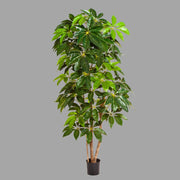 Nagyméretű, élethű, mesterséges sugárarália cserje fekete színű, műanyag kaspóban.