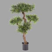 Élethű megjelenésű, mű kőtiszafa, fekete színű műanyag cserépben.