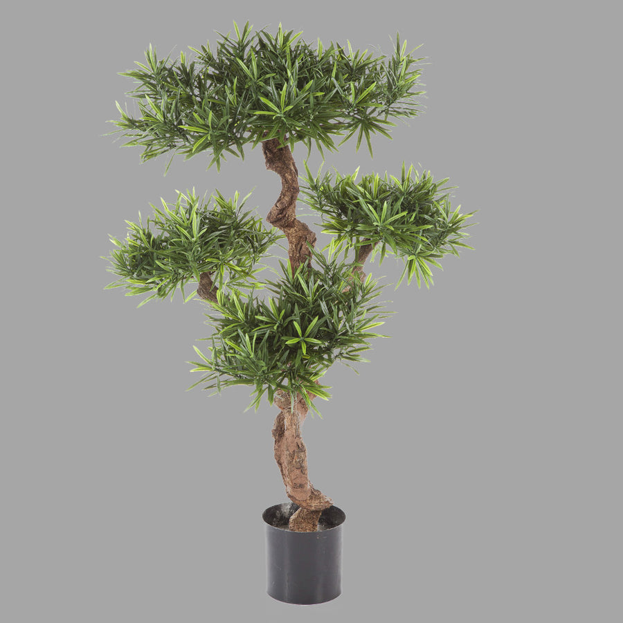 Élethű megjelenésű, mű kőtiszafa, fekete színű műanyag cserépben.