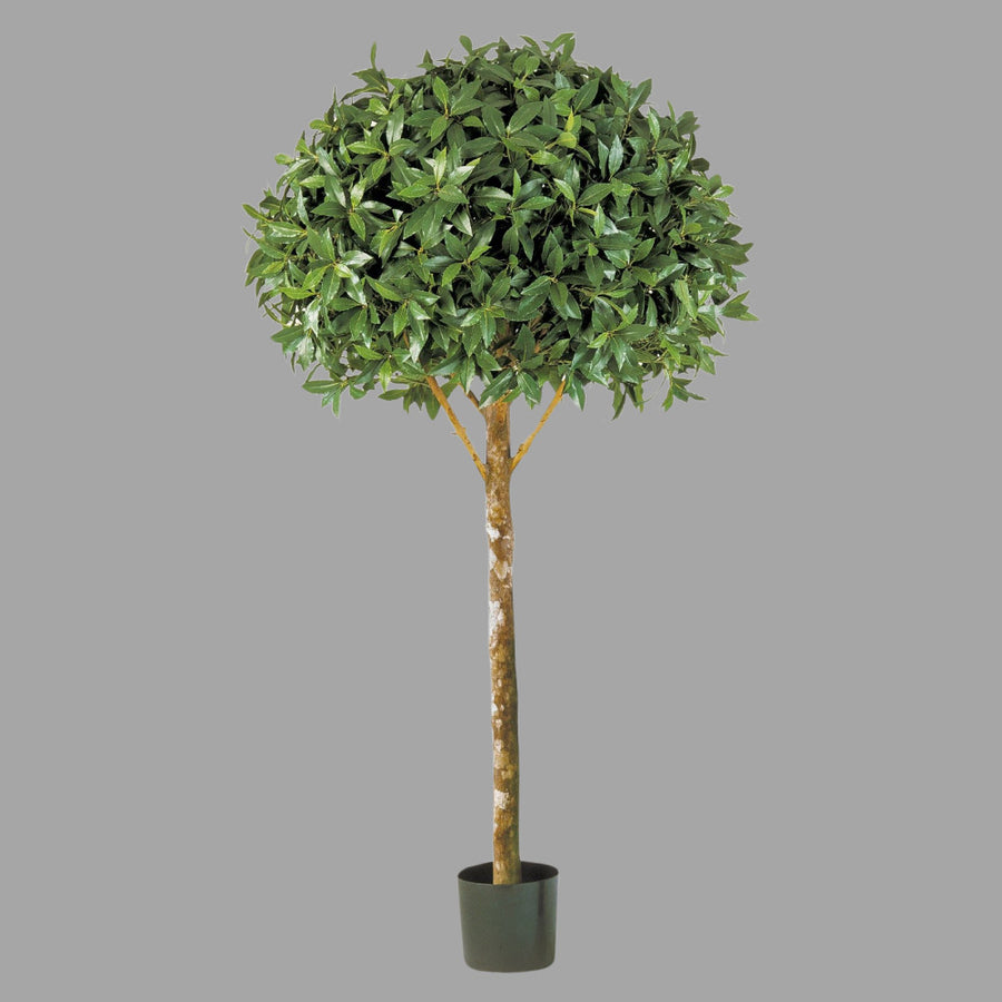 LAUREL babérfa műnövény 170 cm