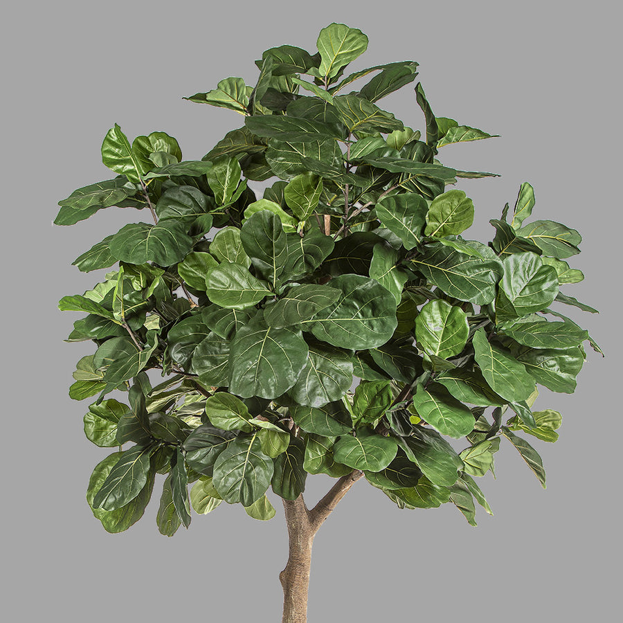 Óriás méretű, élethű, mesterséges fikusz fekete színű, műanyag kaspóban