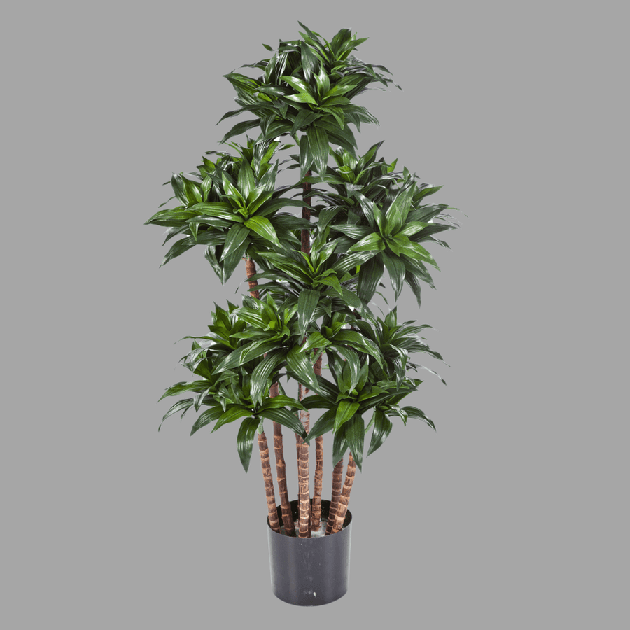 Élethű megjelenésű, mű sárkányfa, fekete színű műanyag cserépben