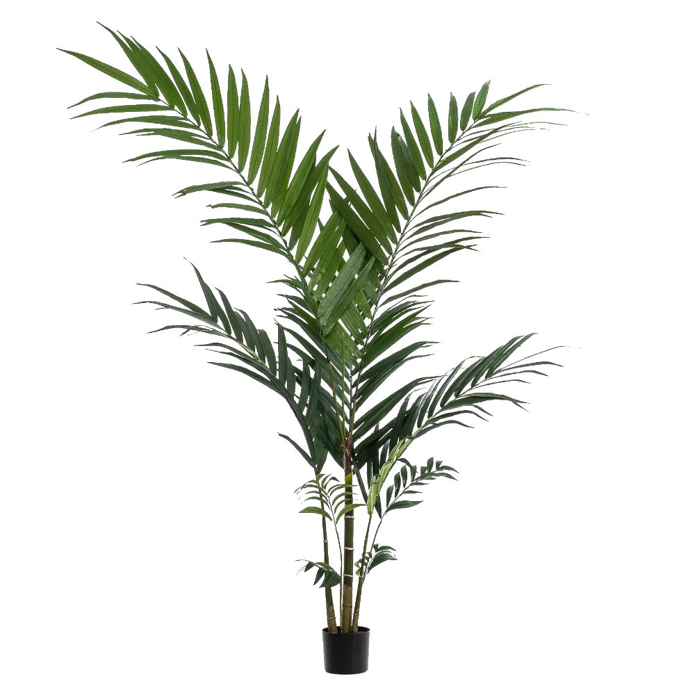 Élethű megjelenésű, 150 cm magas kencia pálma műnövény