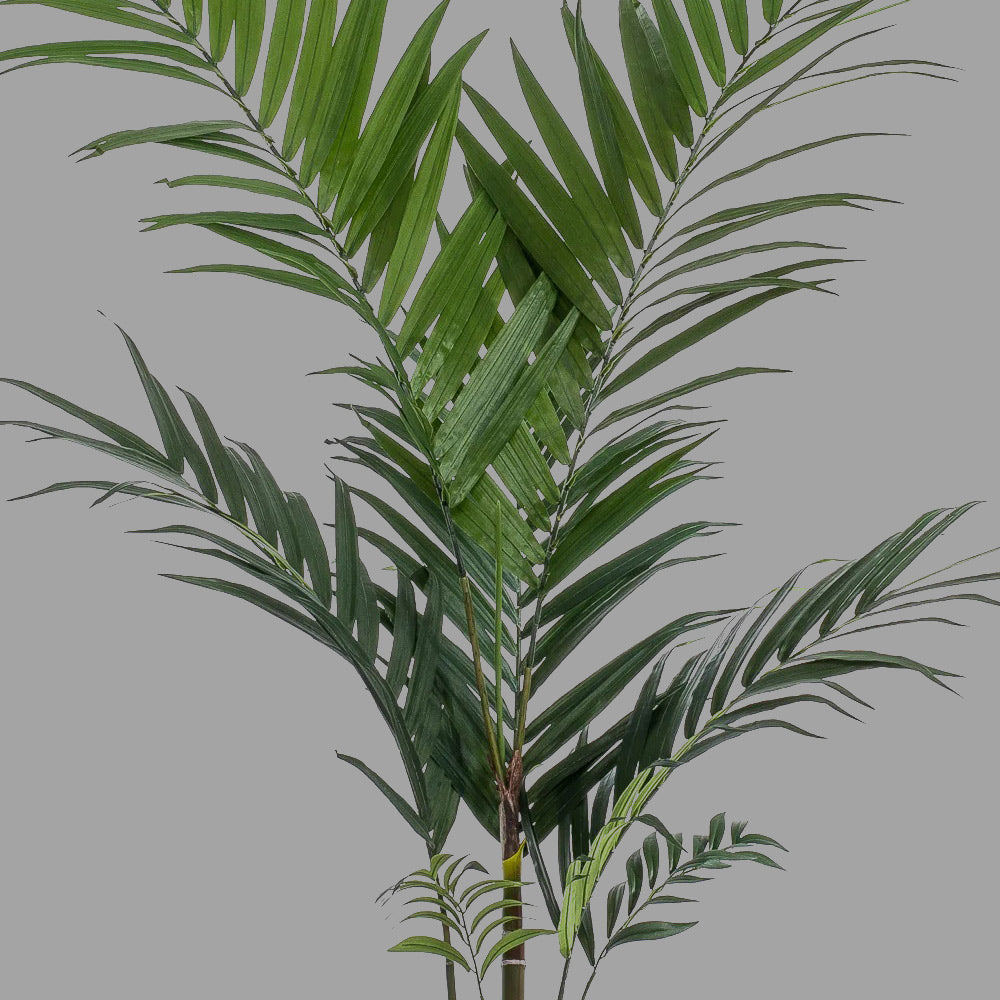 Élethű megjelenésű, 150 cm magas kencia pálma műnövény
