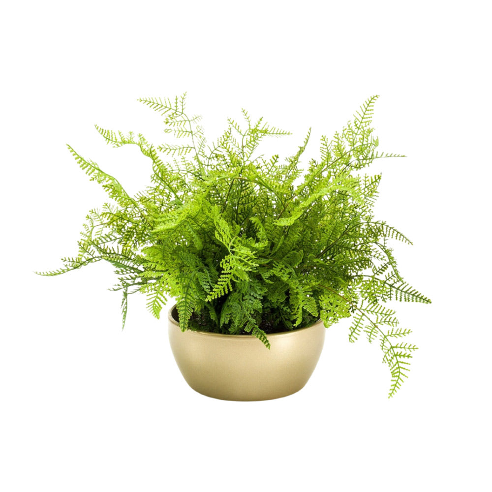 erdei páfrány műnövény arany kaspóban dús zöld levélzettel