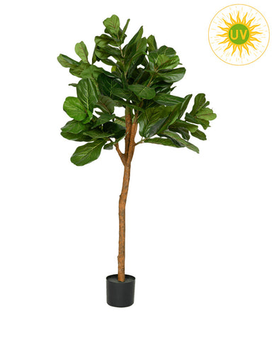 UV-álló fikusz műnövény 150 cm zöld "Ficus Lyrata"