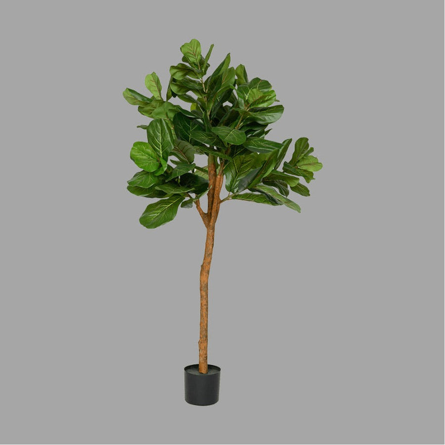 FICUS LYRATA UV-álló fikusz műnövény 150 cm
