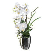 Fehér mű orchidea kompozíció ezüstszürke kaspóban, 68 cm magas.