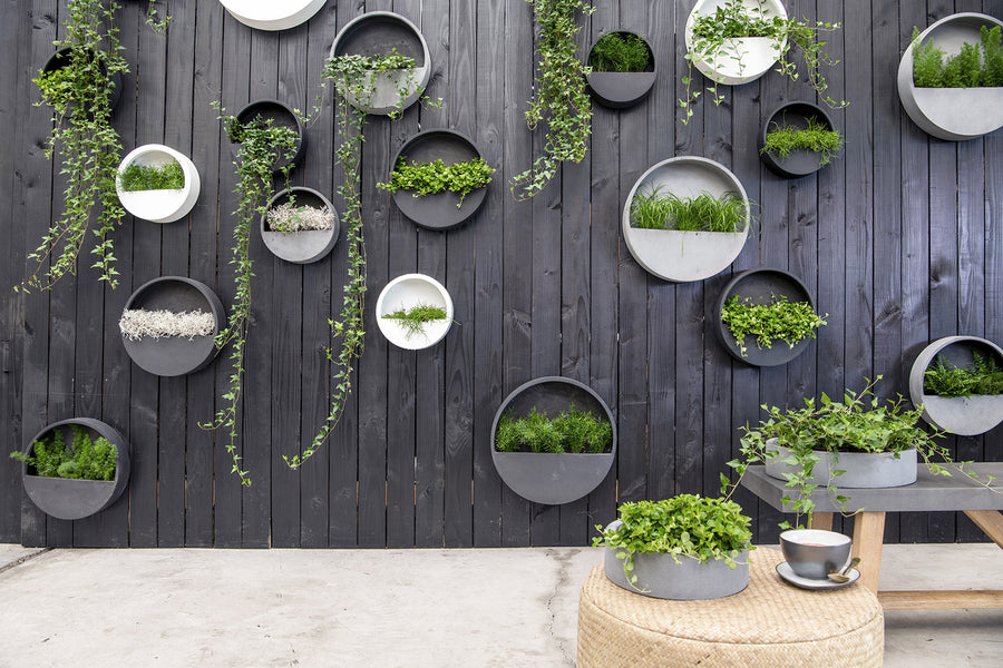 Japandi stílusú matt fekete fiberstone fali kaspók zöldfalon