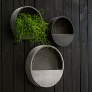 Modern fekete fali kaspók növényekkel kültéri faldekorációként