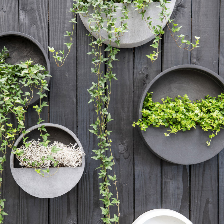 Modern fekete és szürke fali kaspók növényekkel kültéri faldekorációként