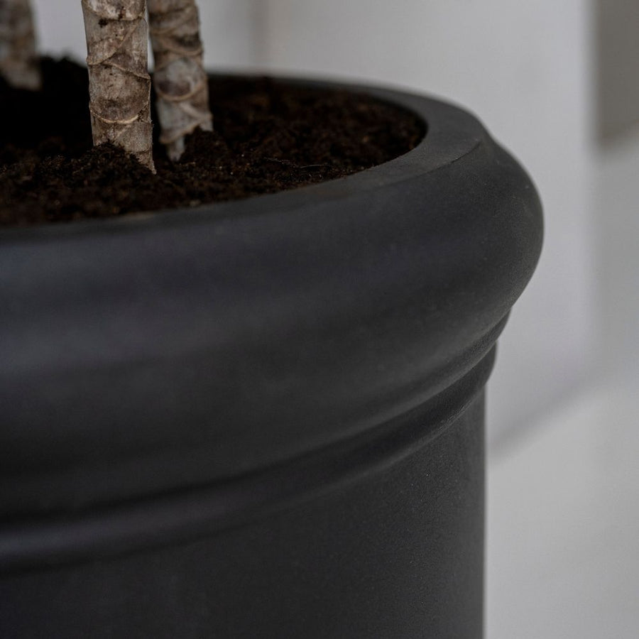 Heritage matt fekete fiberstone kaspó lekerekített felső peremének közeli részlete, finoman strukturált kőhatású felülettel és dísznövény törzsével.
